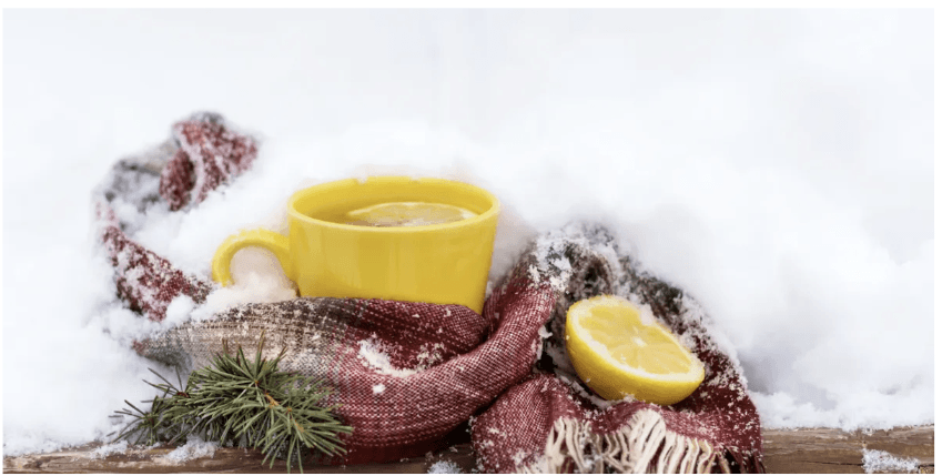 Tasse de thé dans la neige